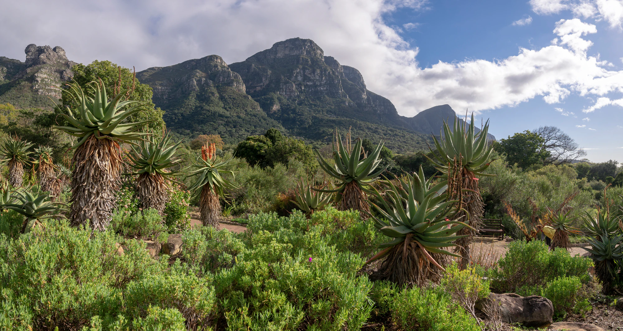 083 — Descargar