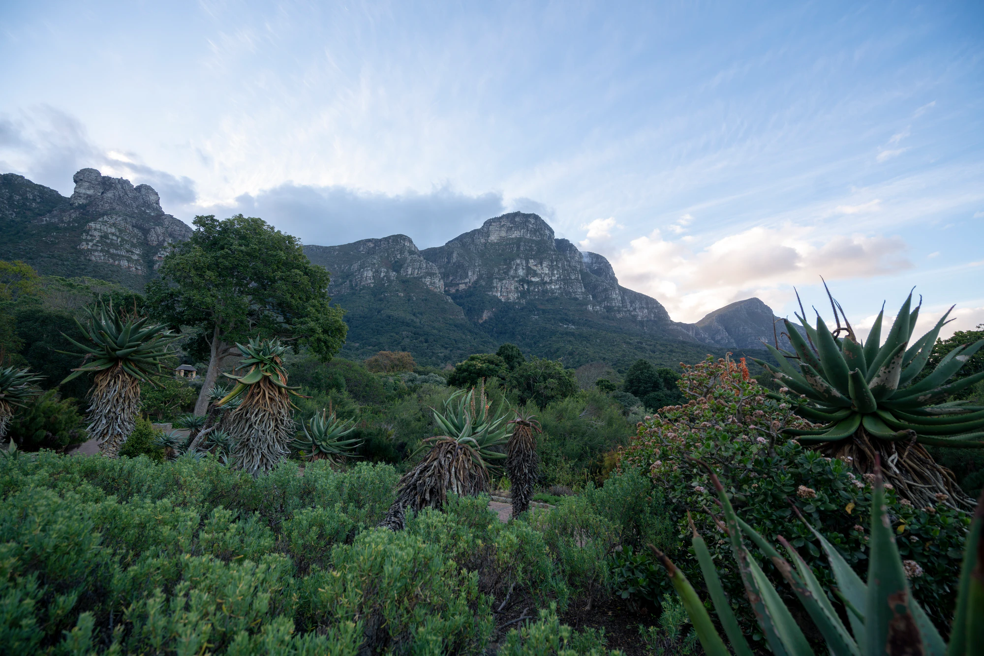 123 — Скачать