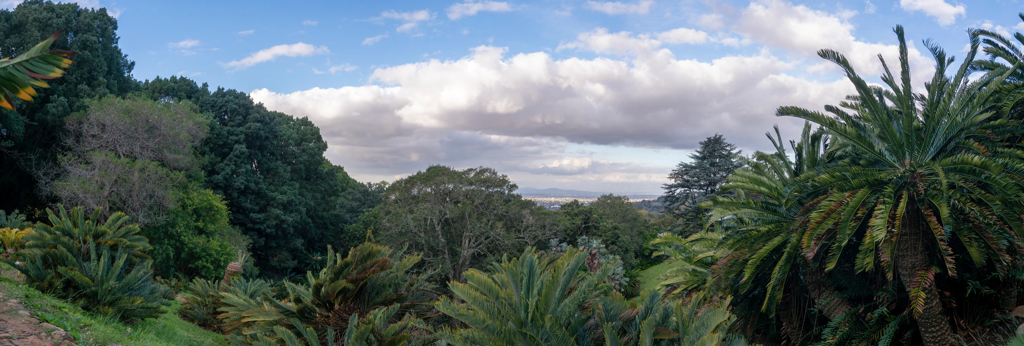 141 — Скачать