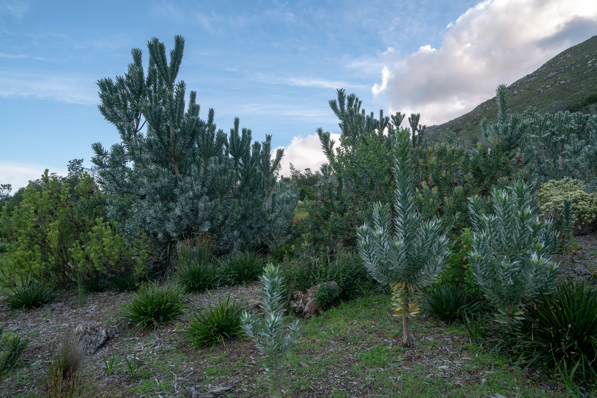 150 — Скачать