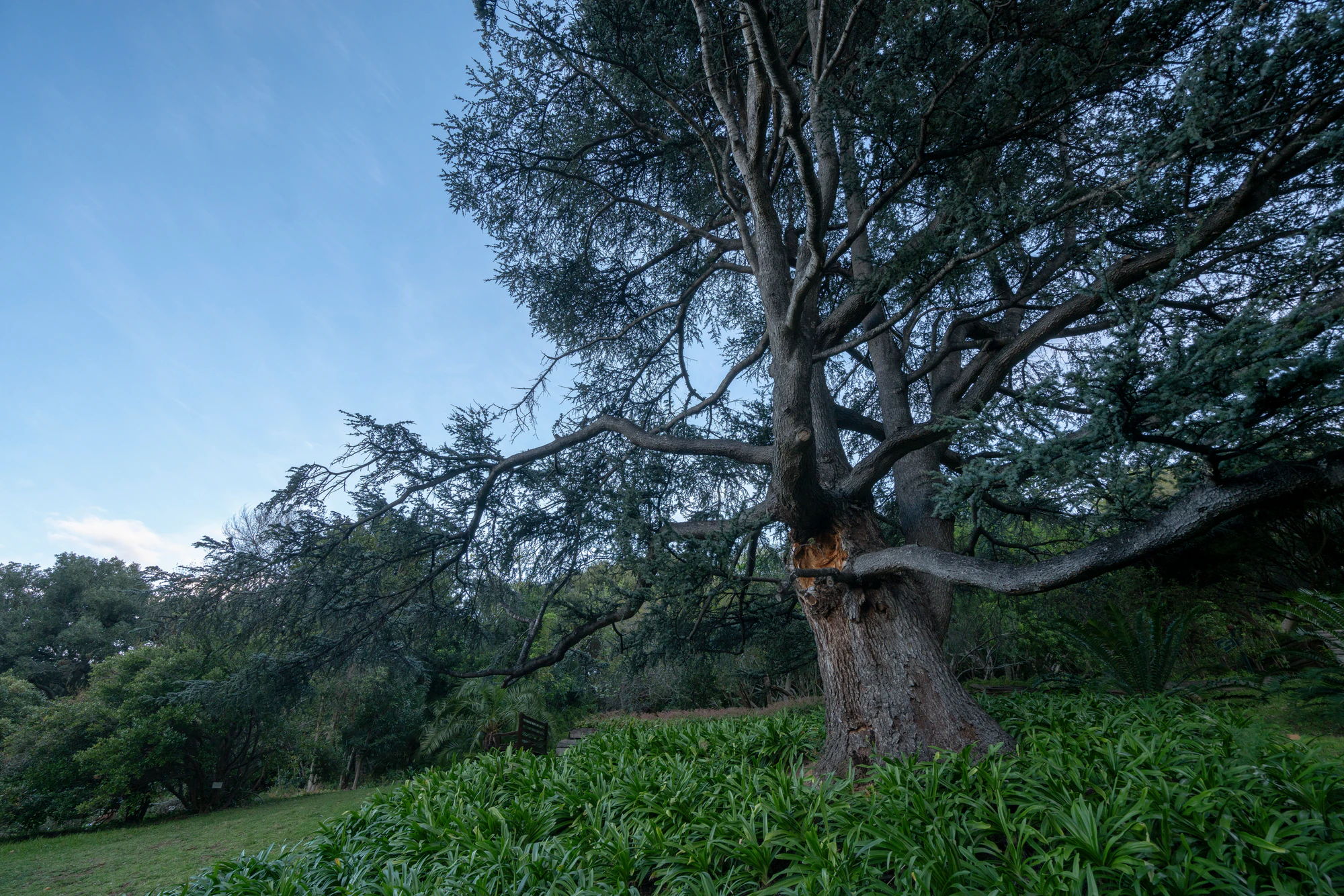 151 — Скачать