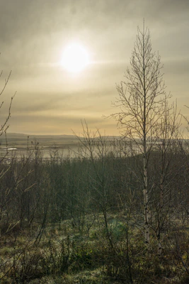 091 — скачать