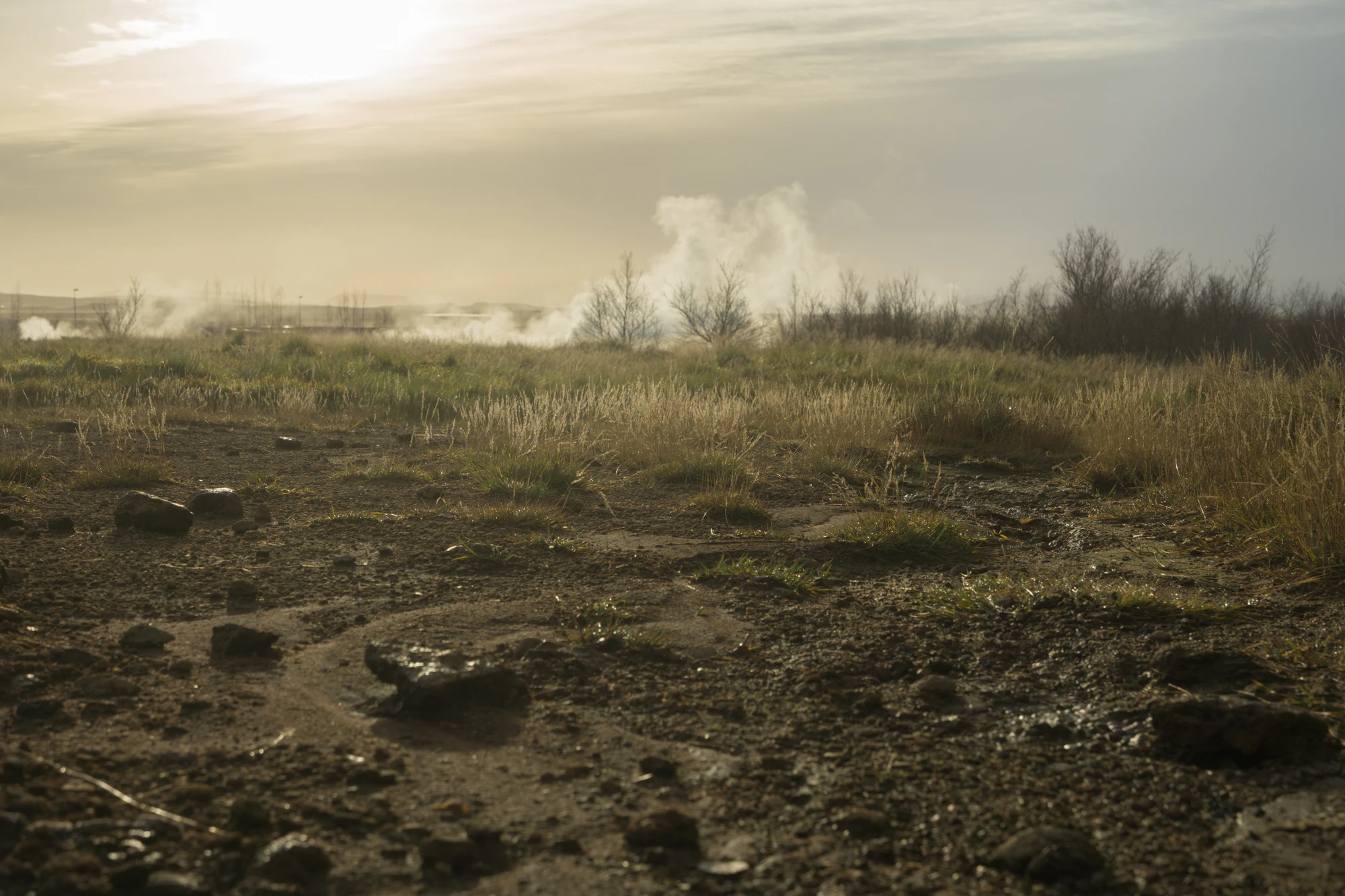 093 — Скачать