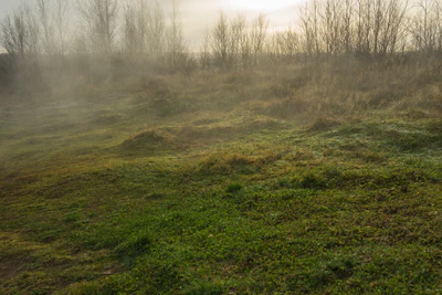 095 — скачать