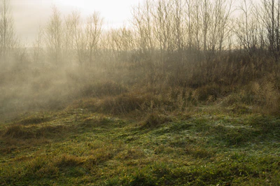 096 — скачать