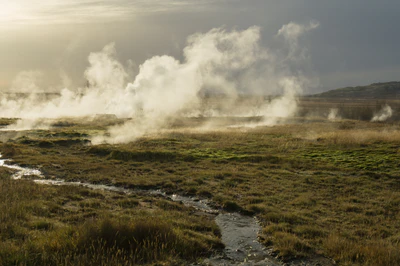 100 — скачать