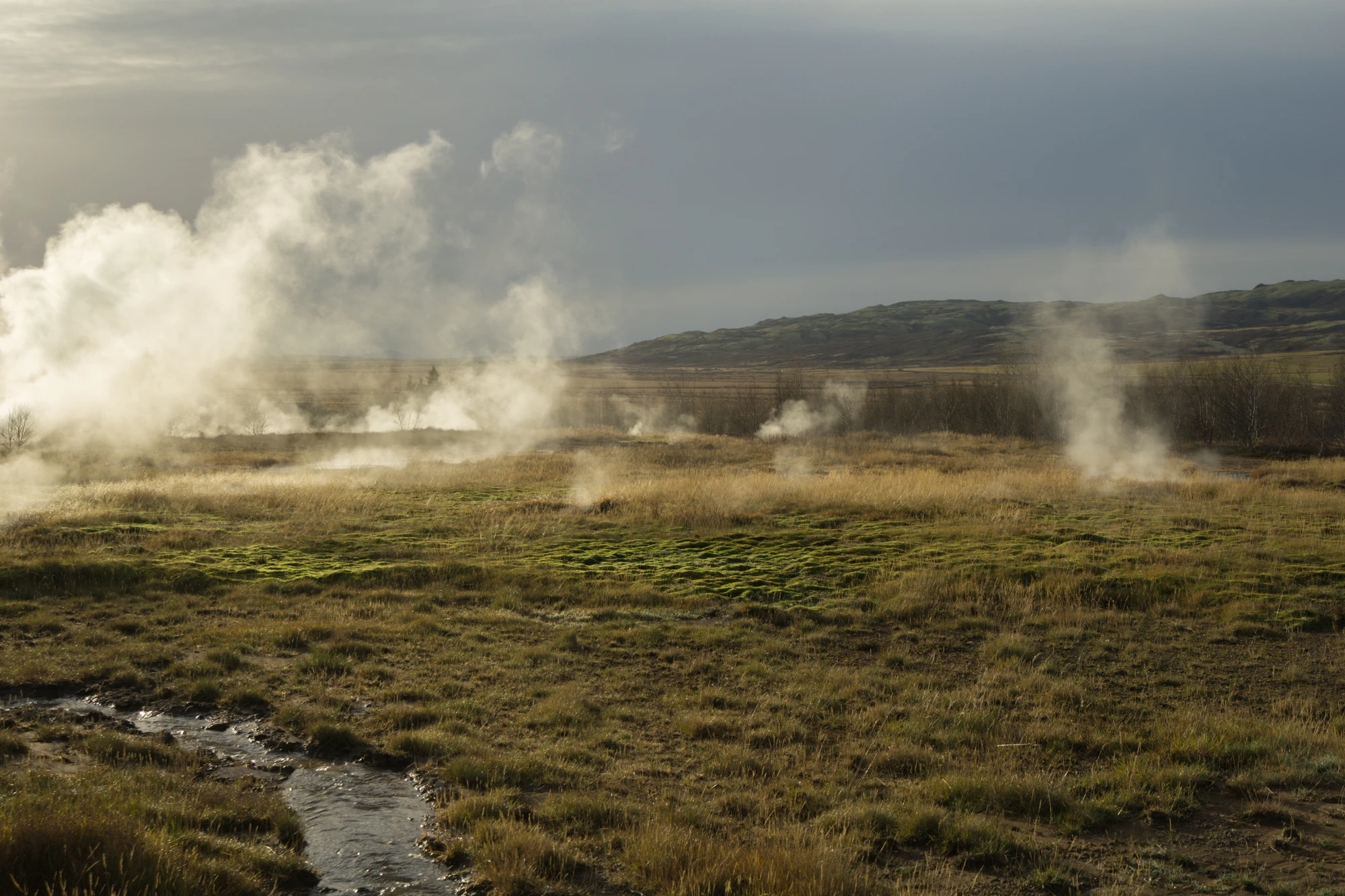 102 — Скачать