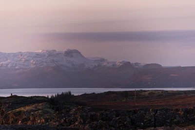 116 — скачать