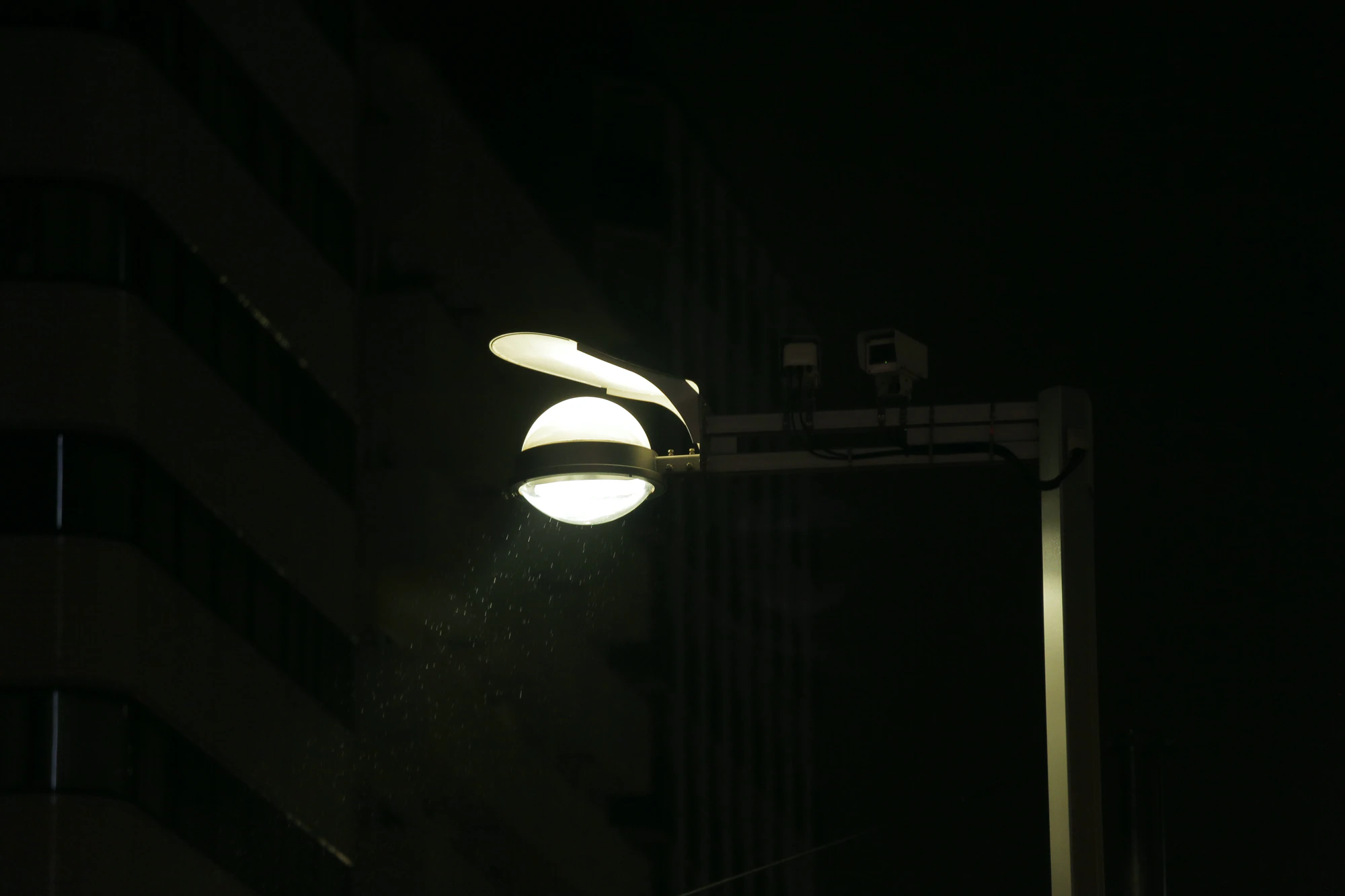 529 — Descargar