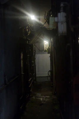 655 — Скачать