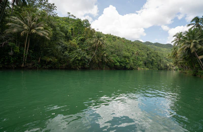 244 — Descargar