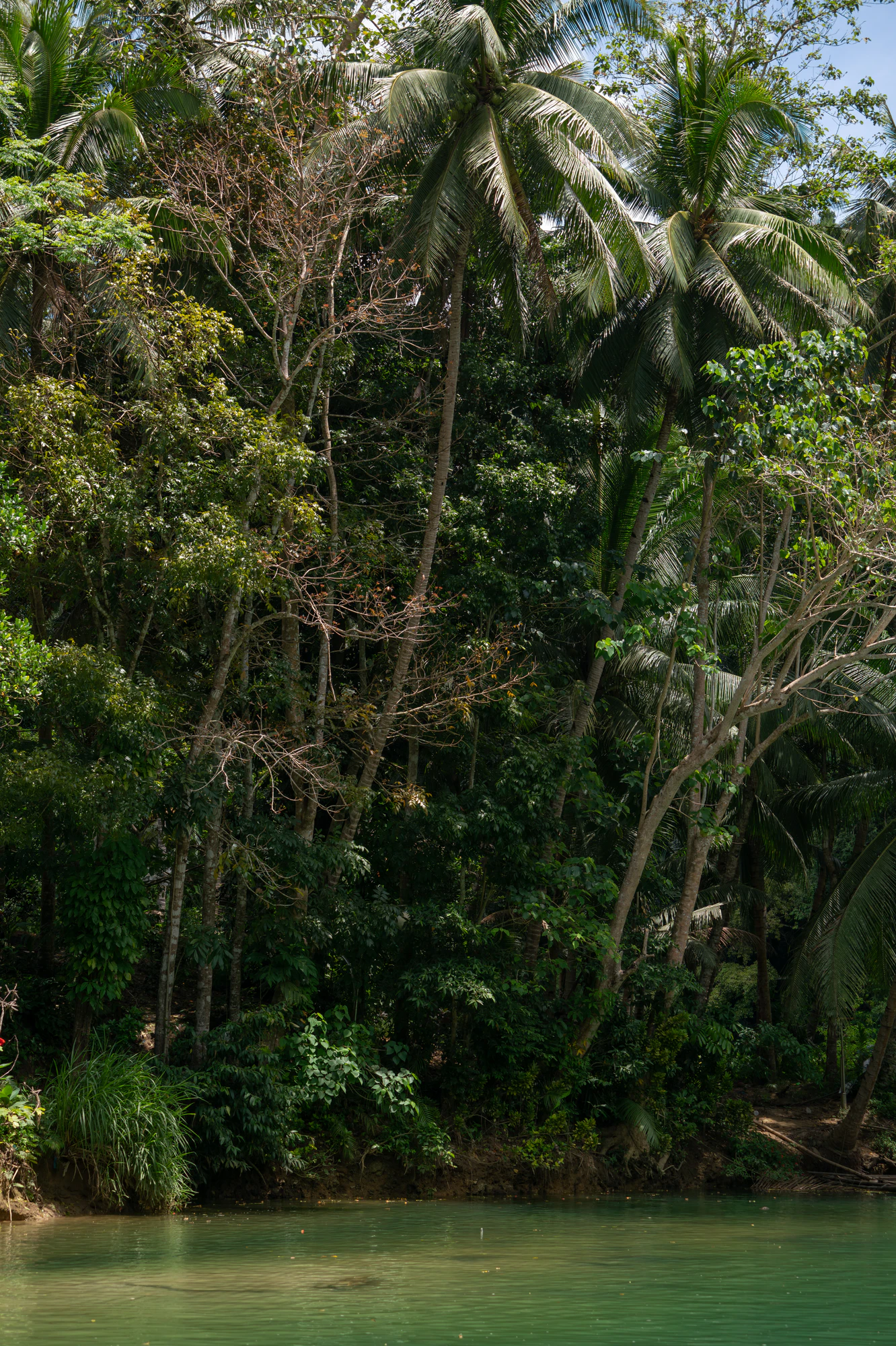 324 — Descargar