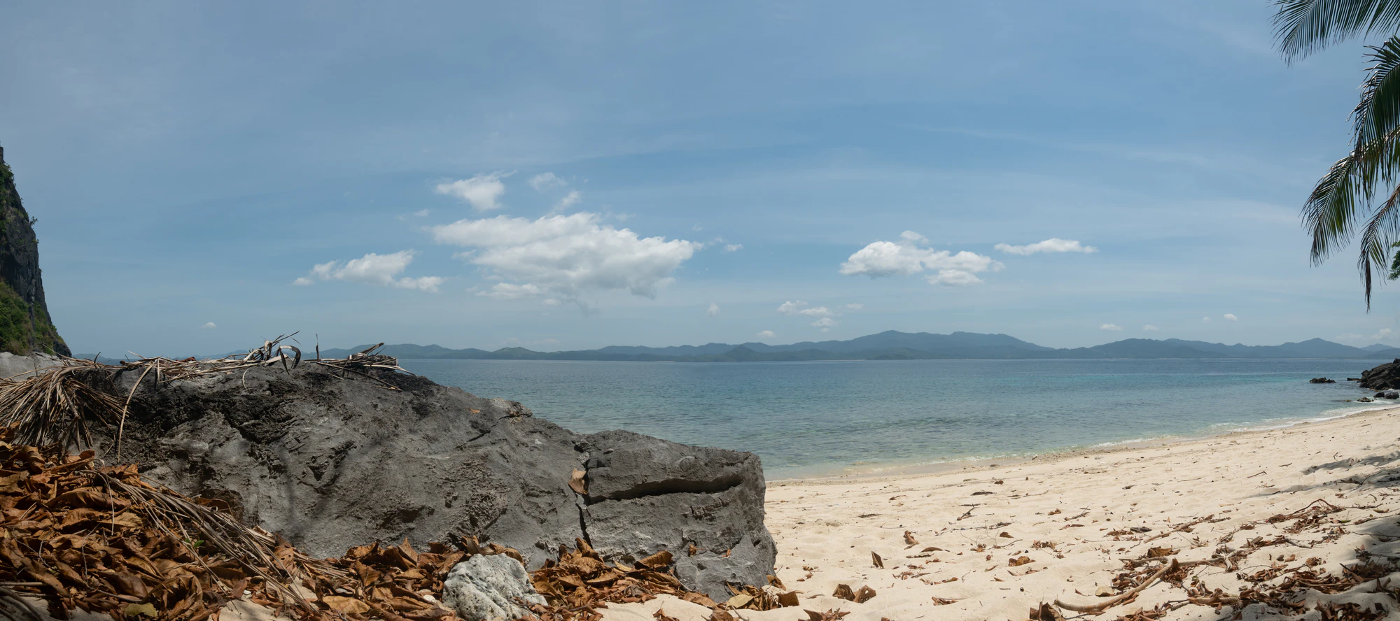 442 — Скачать