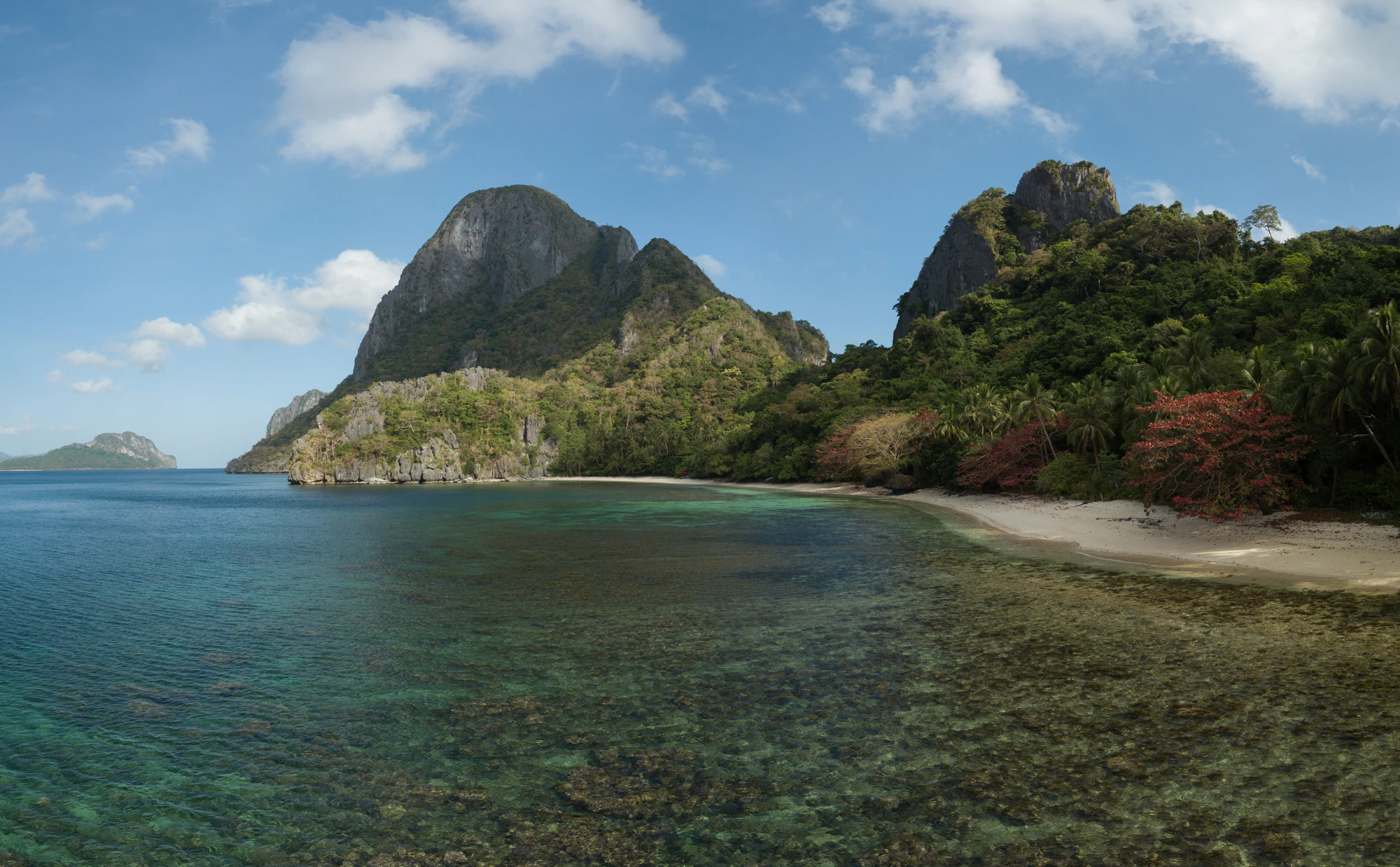 445 — Скачать