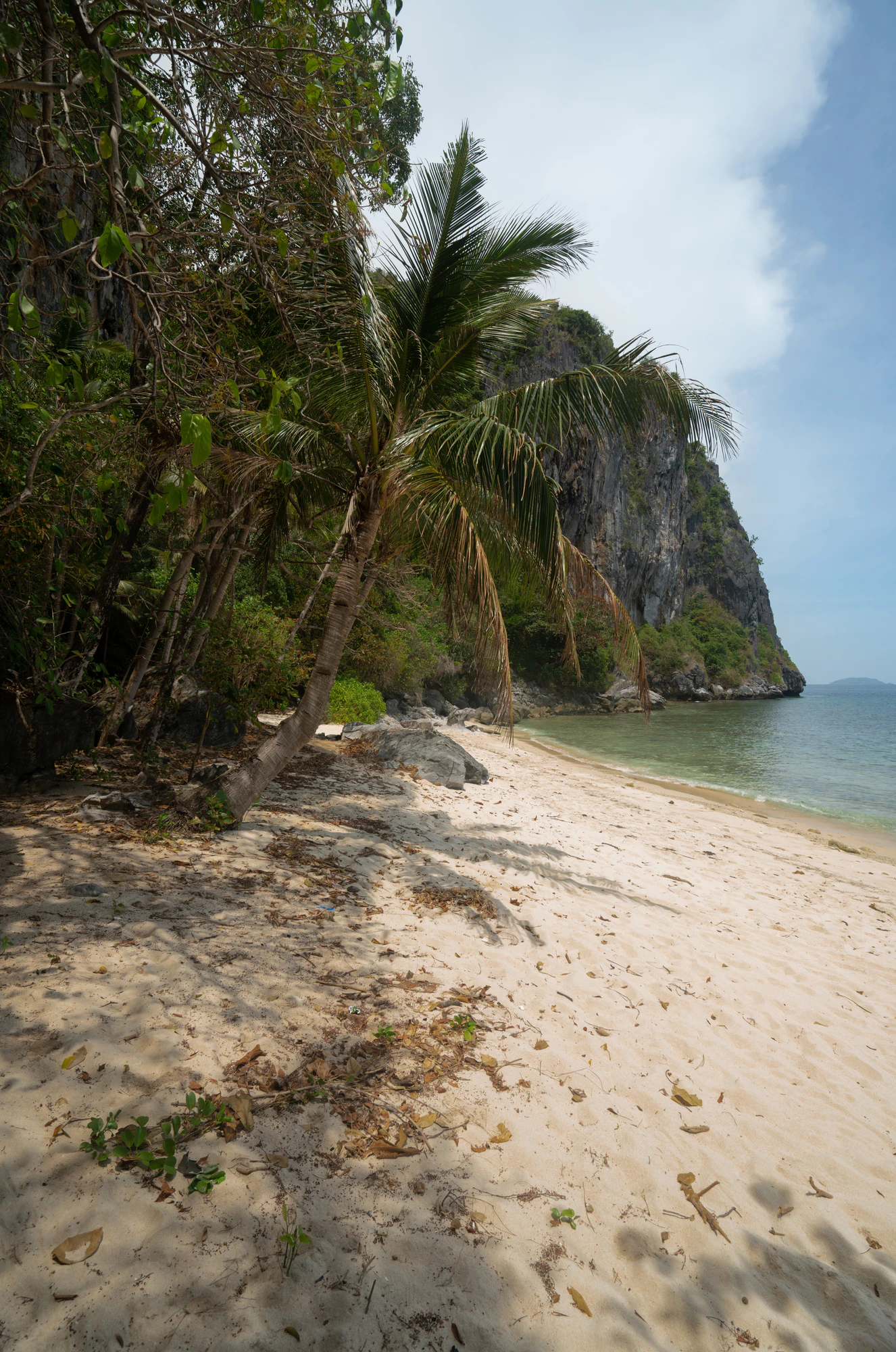 466 — Скачать