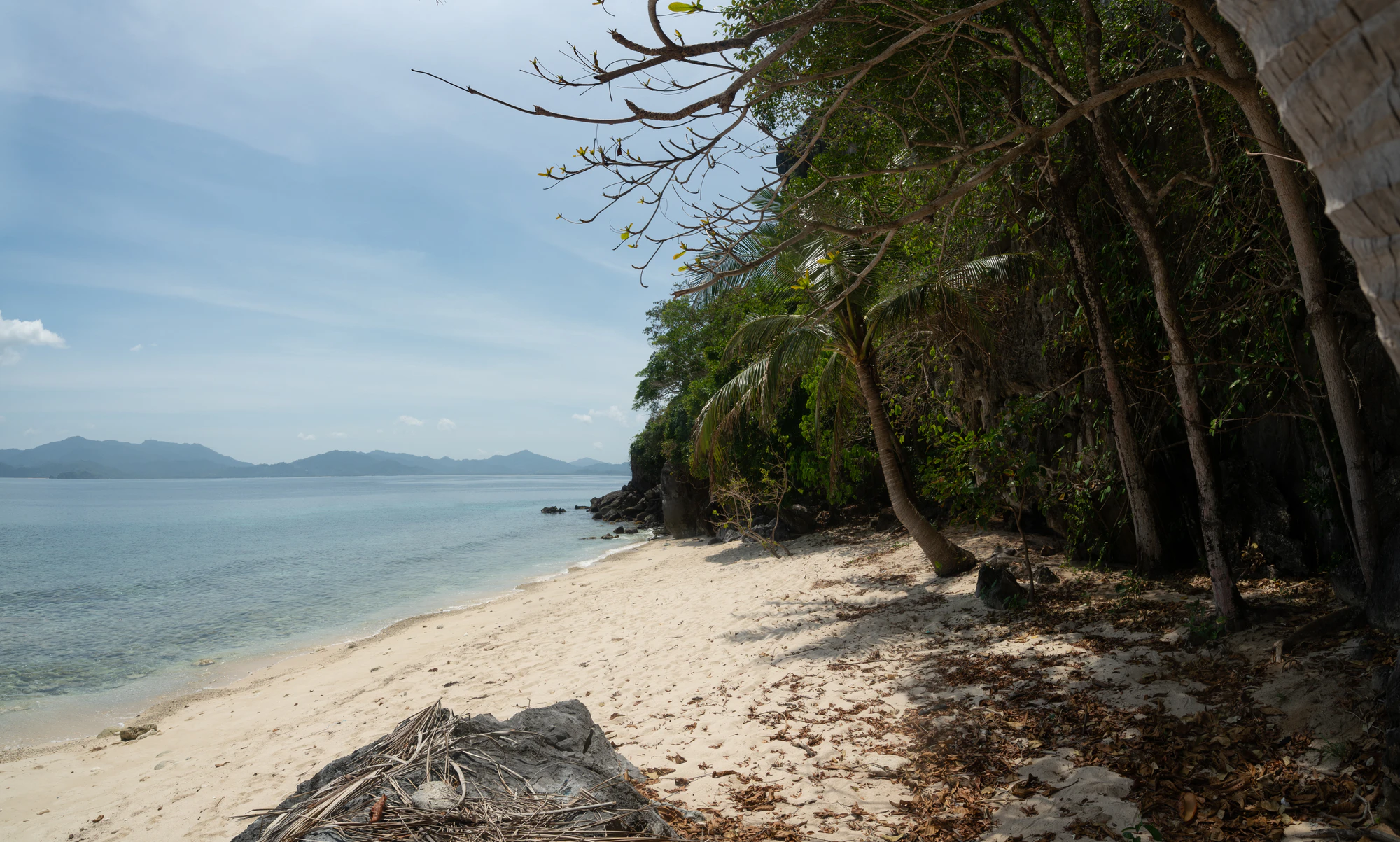 473 — Скачать