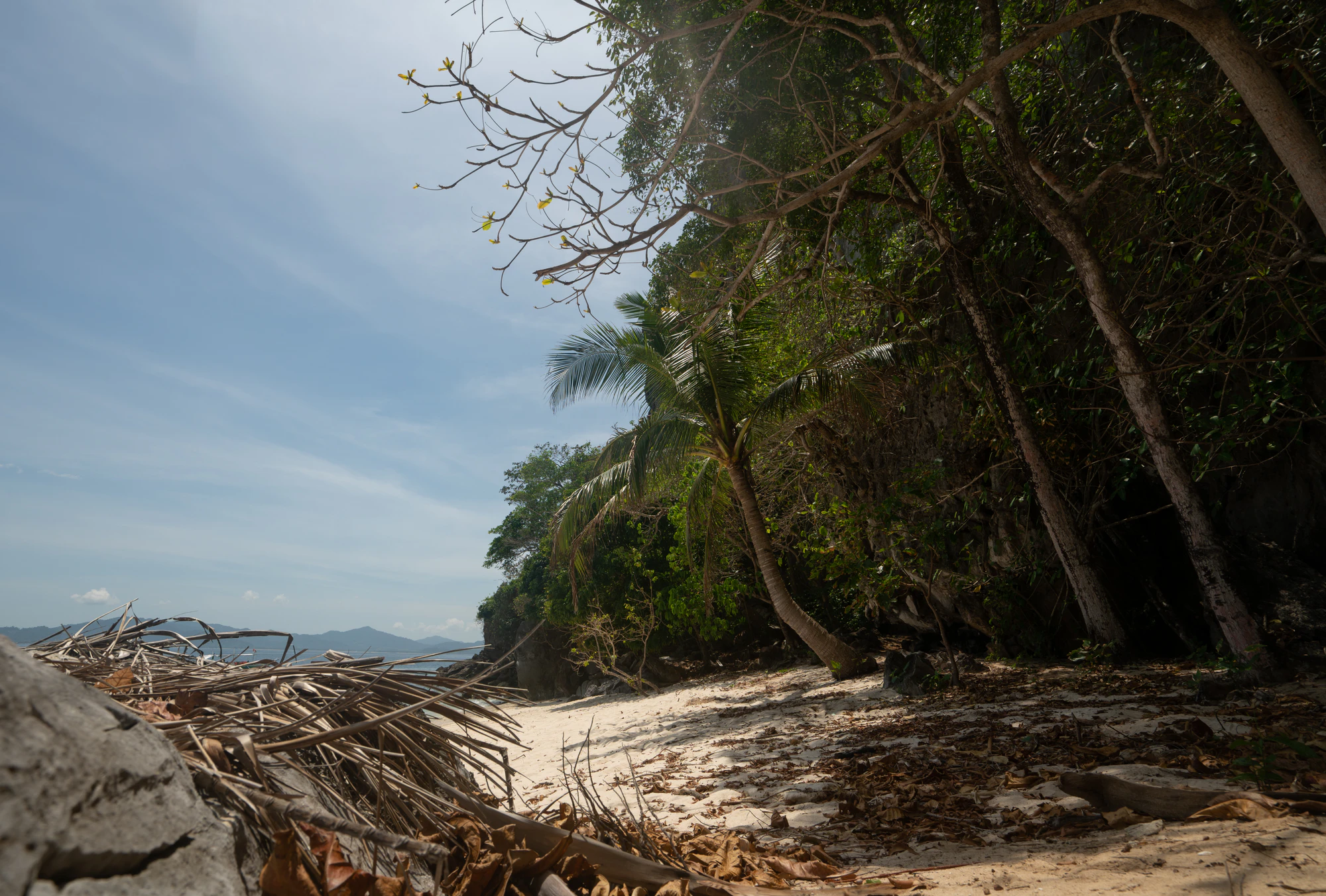 475 — Скачать