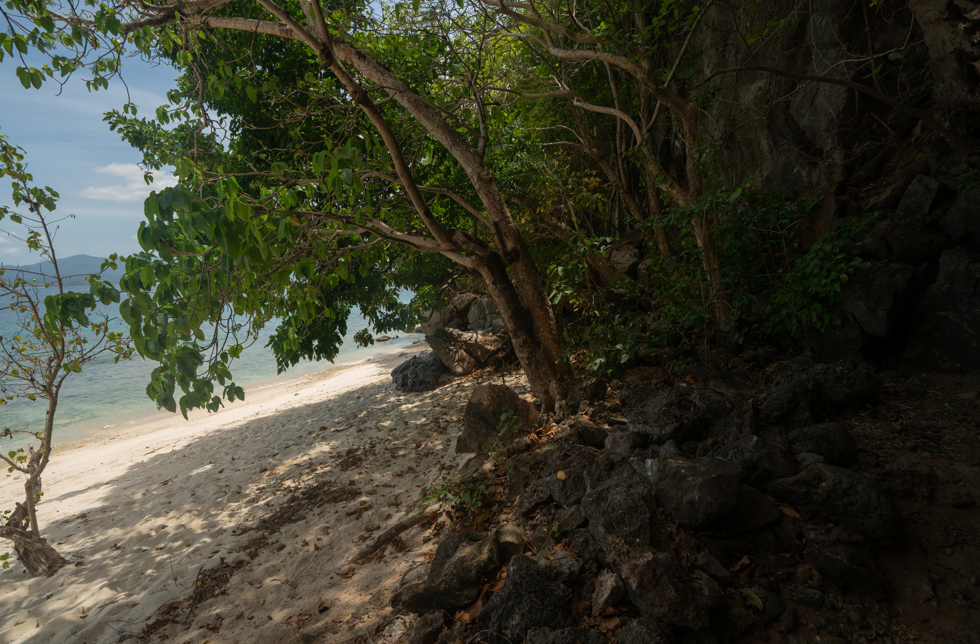 477 — Скачать