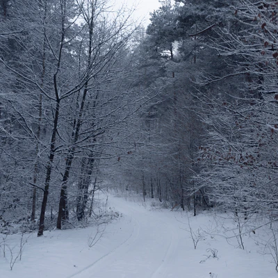 009 — Скачать