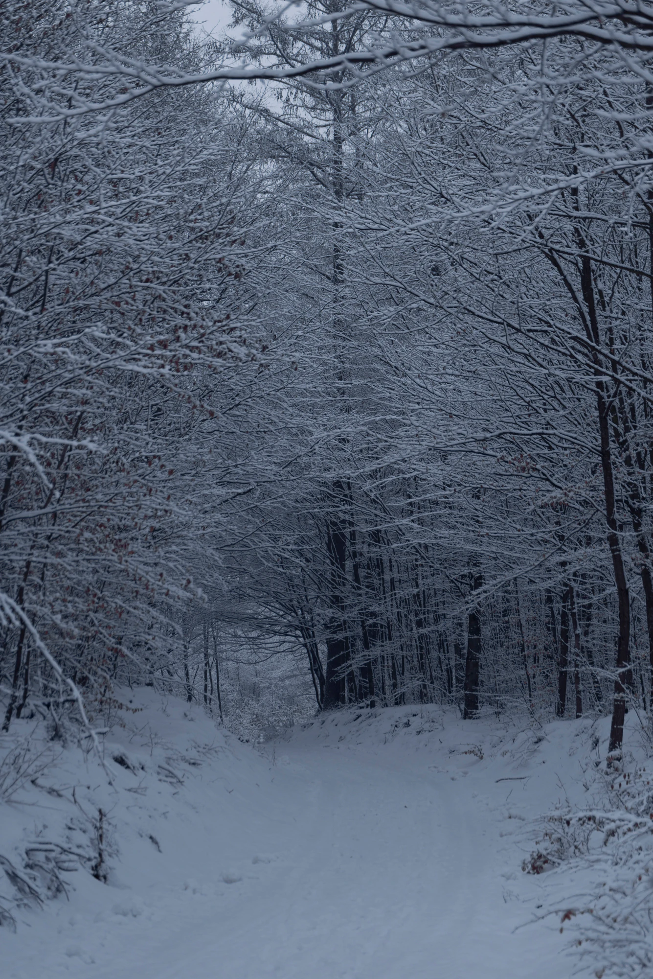 012 — Descargar