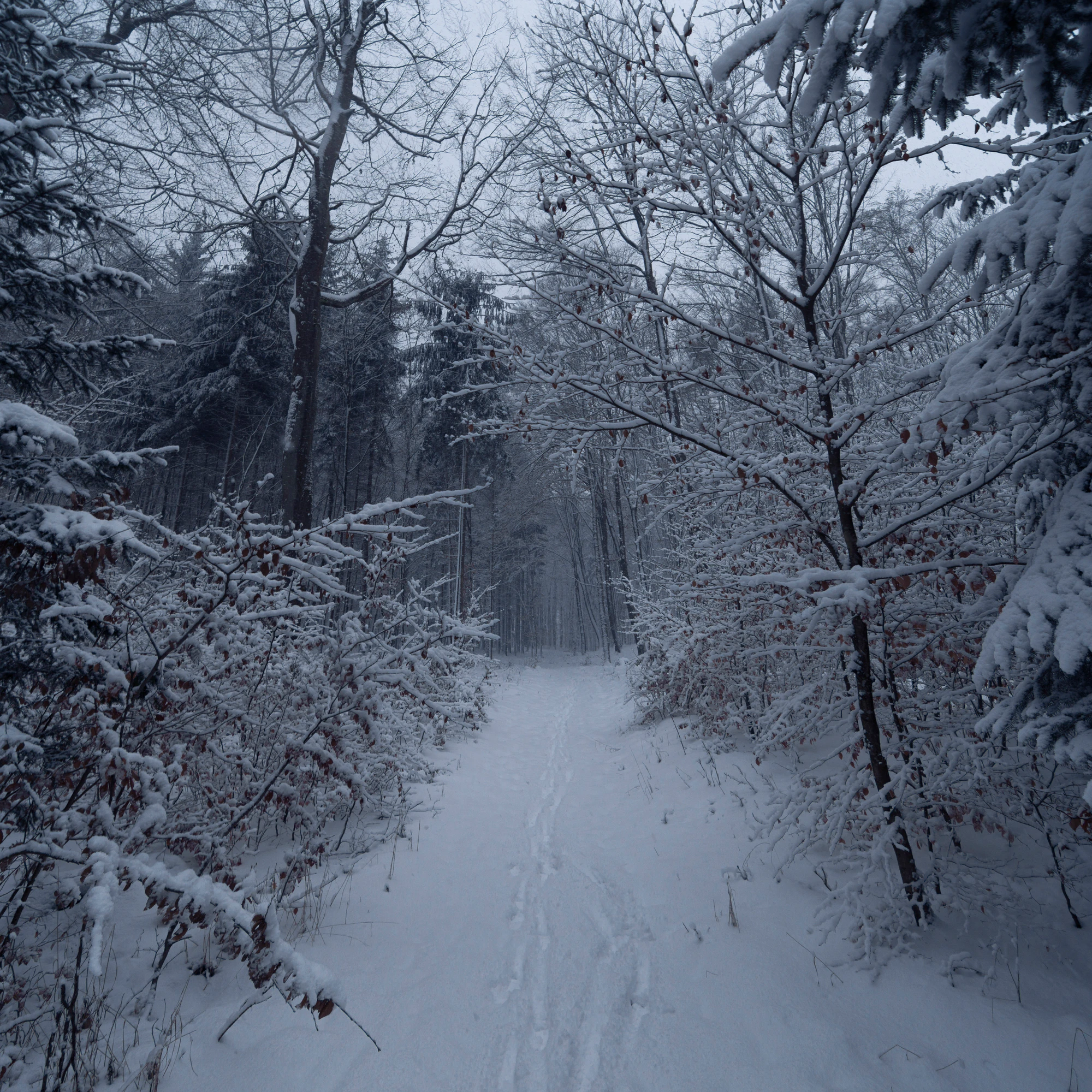 128 — Скачать