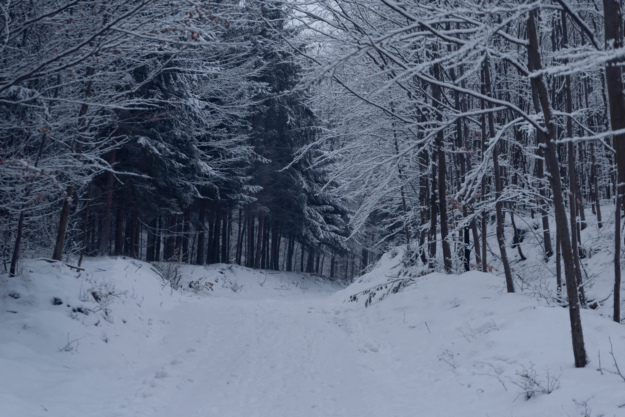 132 — Скачать