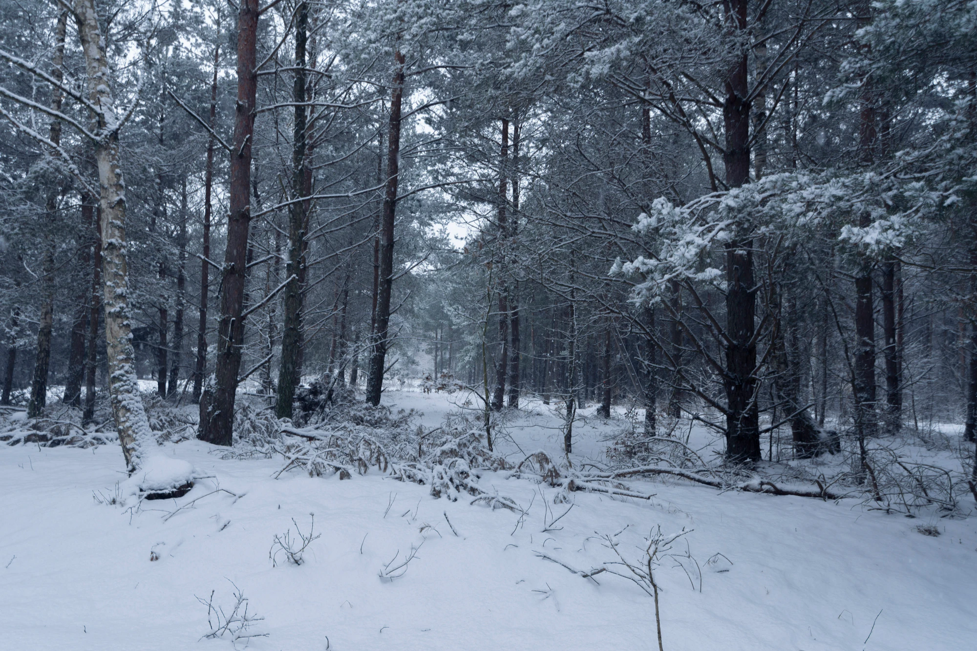 134 — Скачать