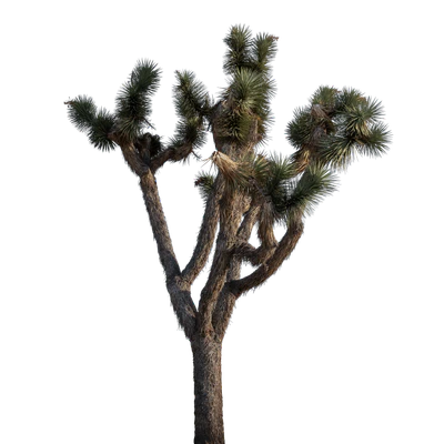 021 — скачать