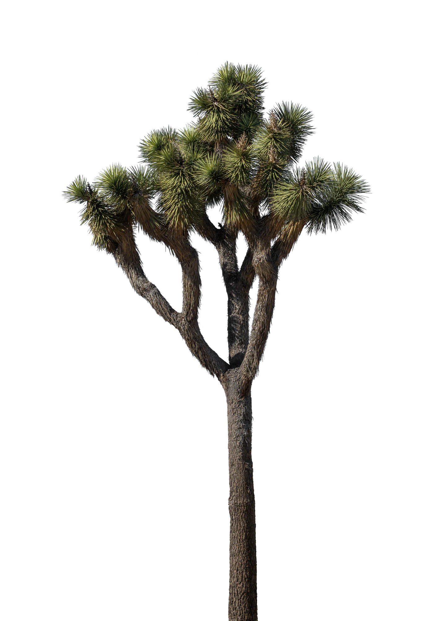 022 — Скачать