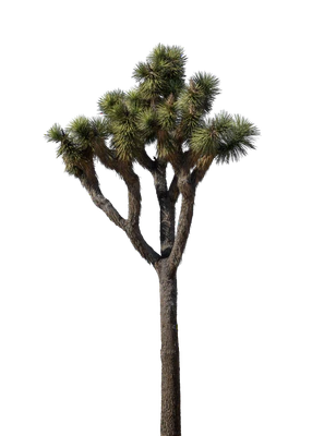 022 — скачать