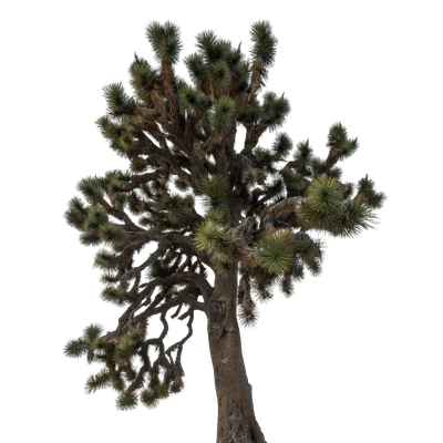 023 — скачать