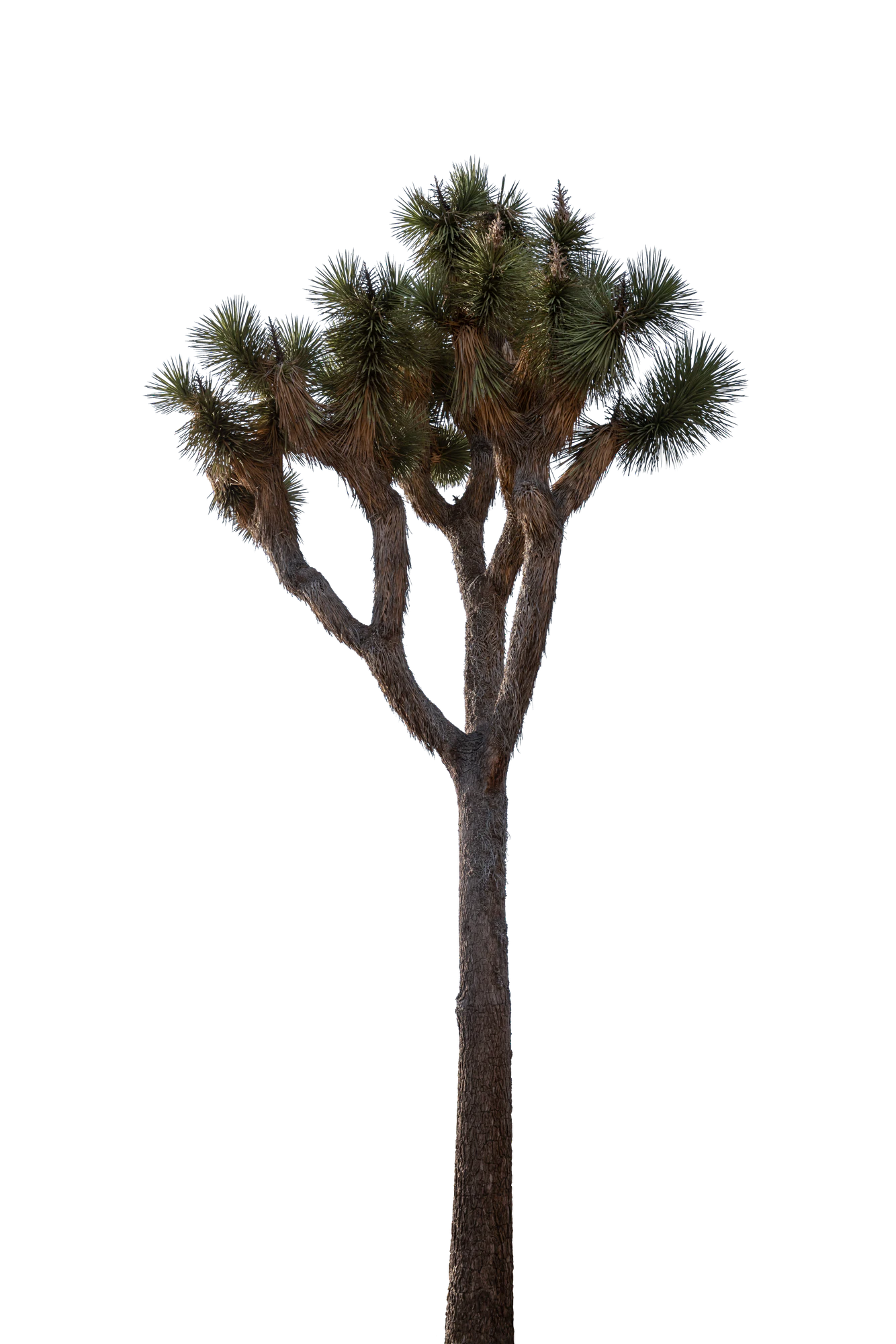 024 — Скачать