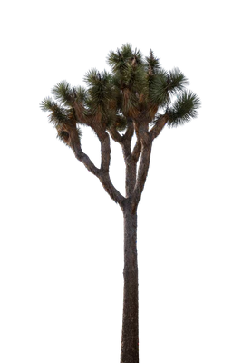 024 — скачать