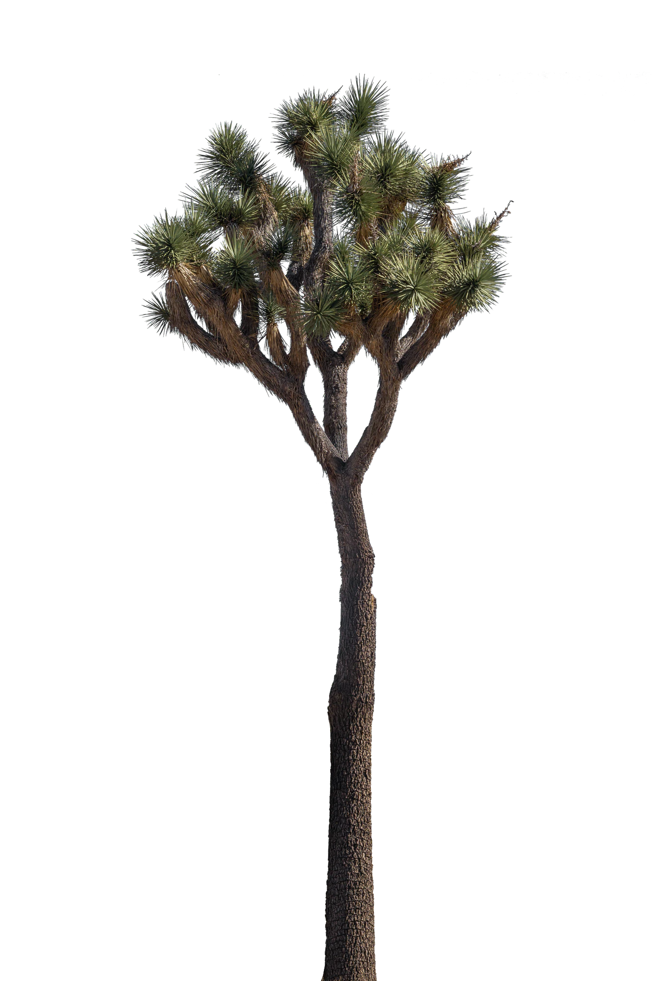 025 — Скачать