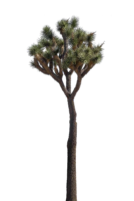 025 — скачать