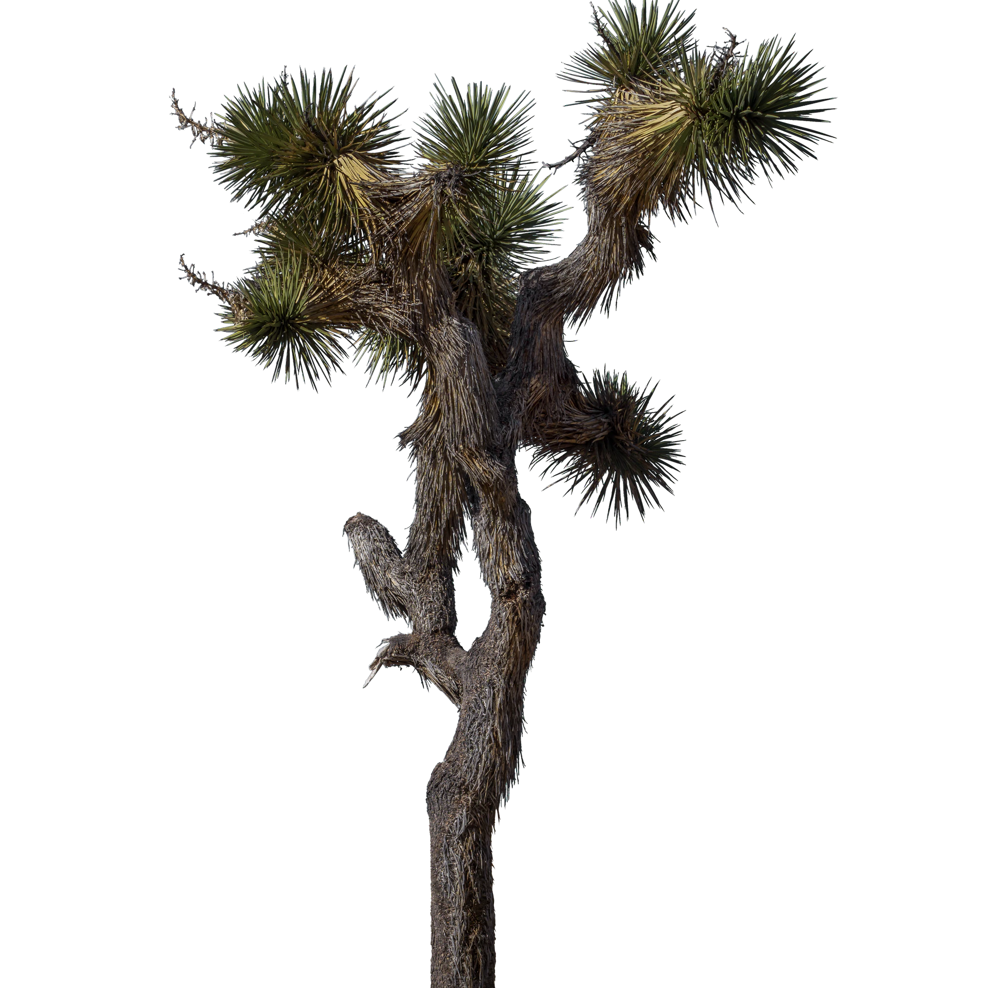 026 — Скачать