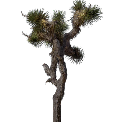 026 — скачать