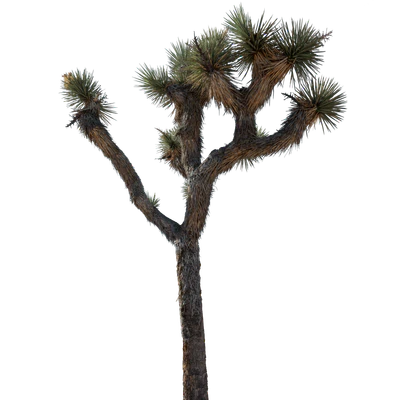 027 — скачать