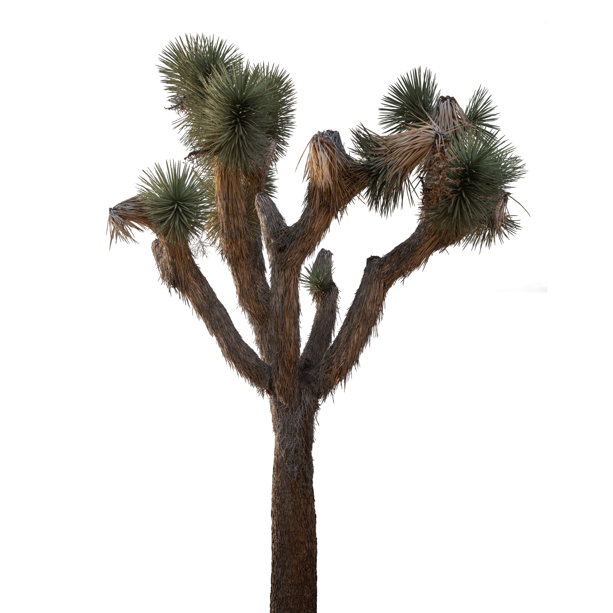 028 — Скачать