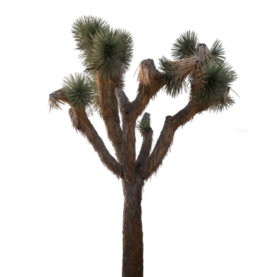 028 — скачать