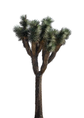 029 — скачать