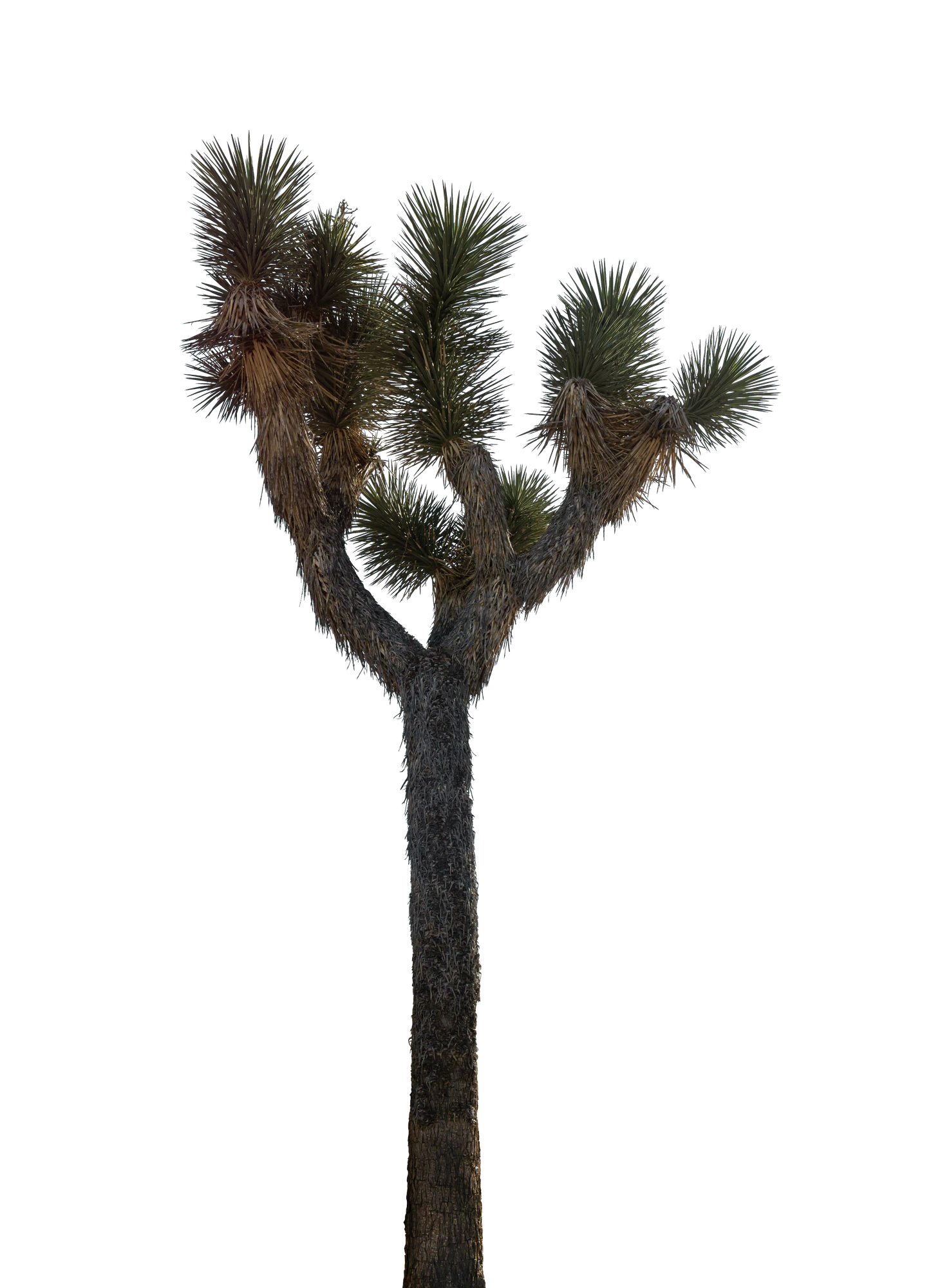 030 — Скачать