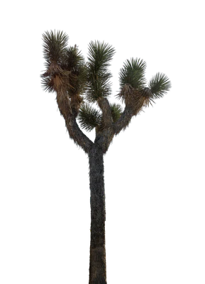 030 — скачать