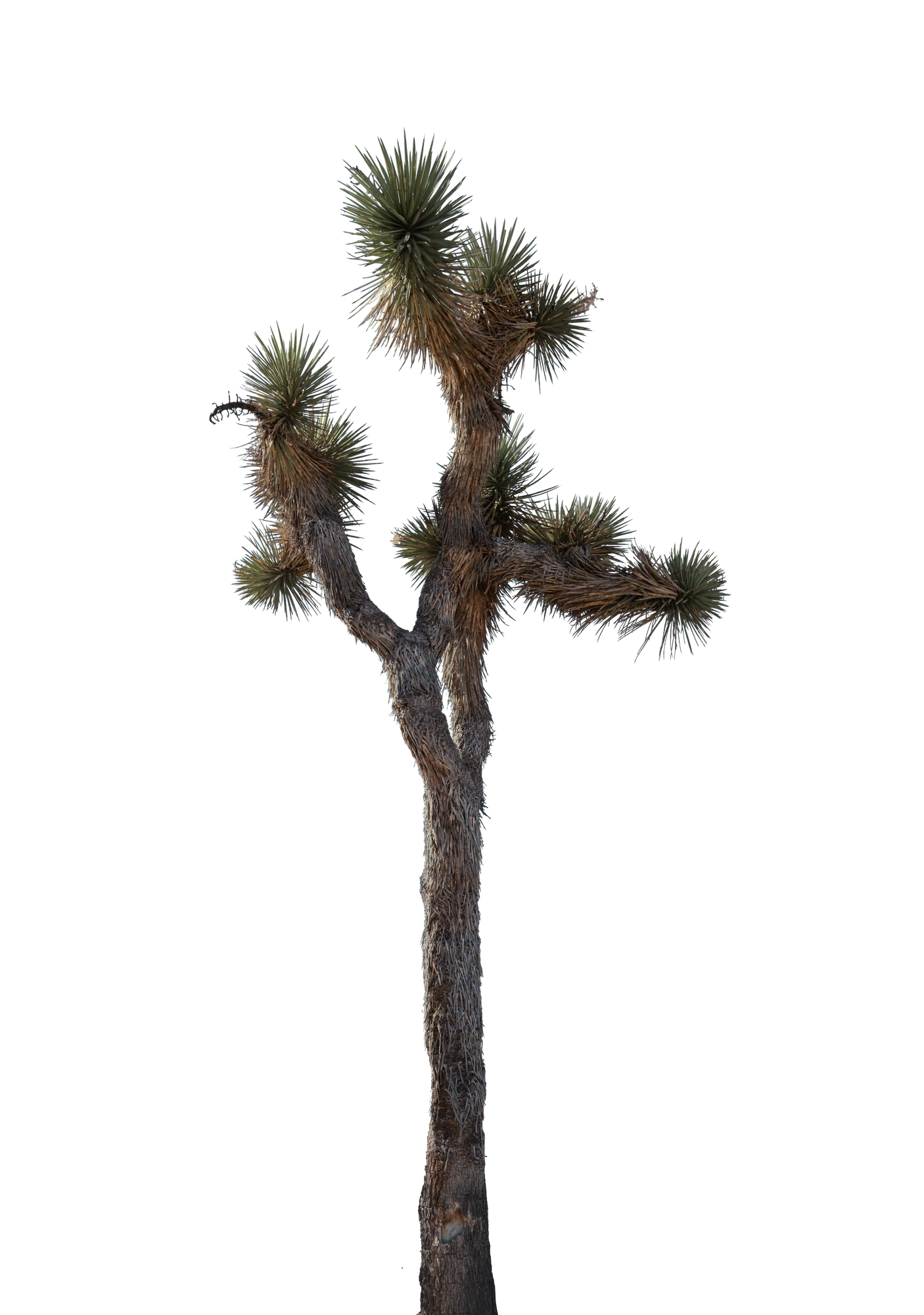 031 — Скачать