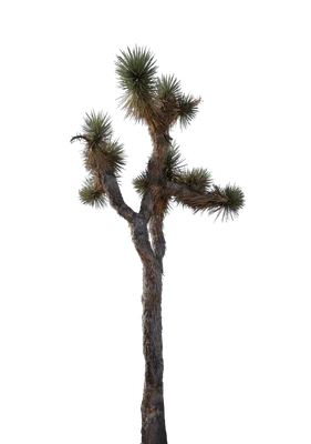 031 — скачать