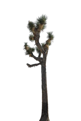 032 — скачать