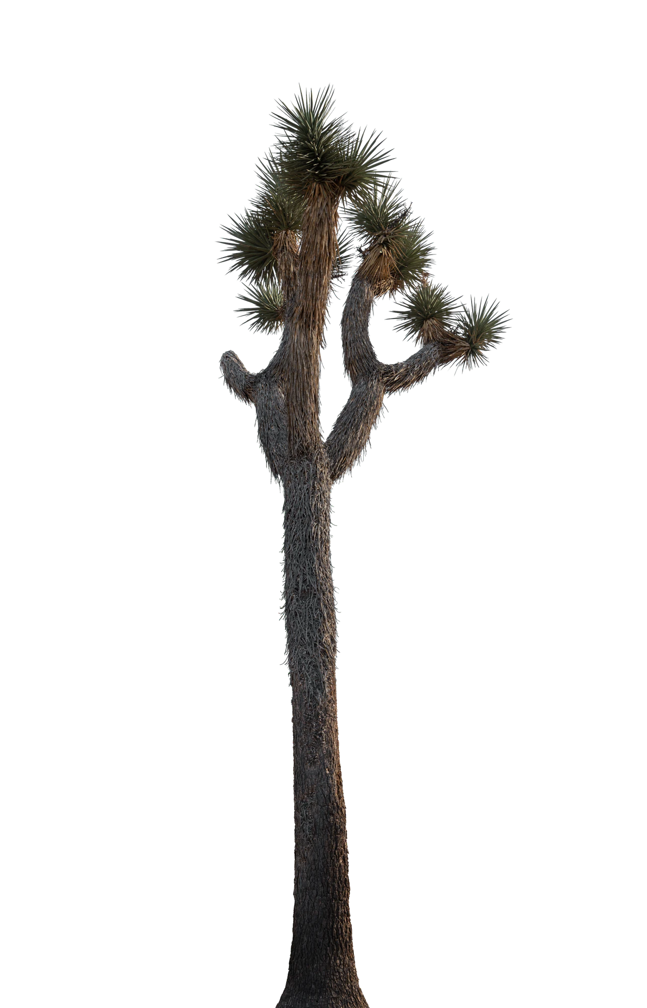 033 — Скачать