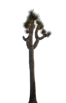 033 — скачать