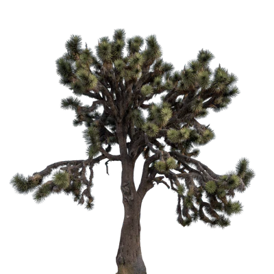 034 — скачать