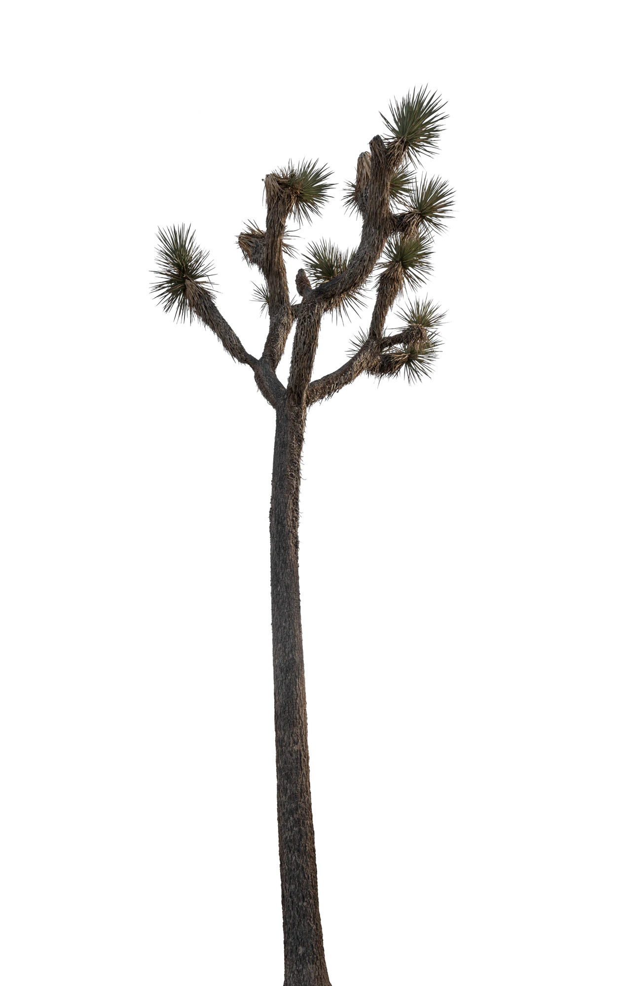 035 — Скачать